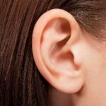 The body language of ears and hearing