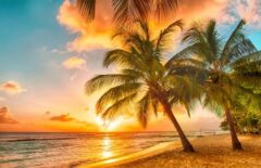 Paradise mindset
